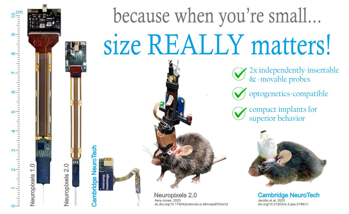 neuropixels probes cambridge neurotech silicon neural probes comparison