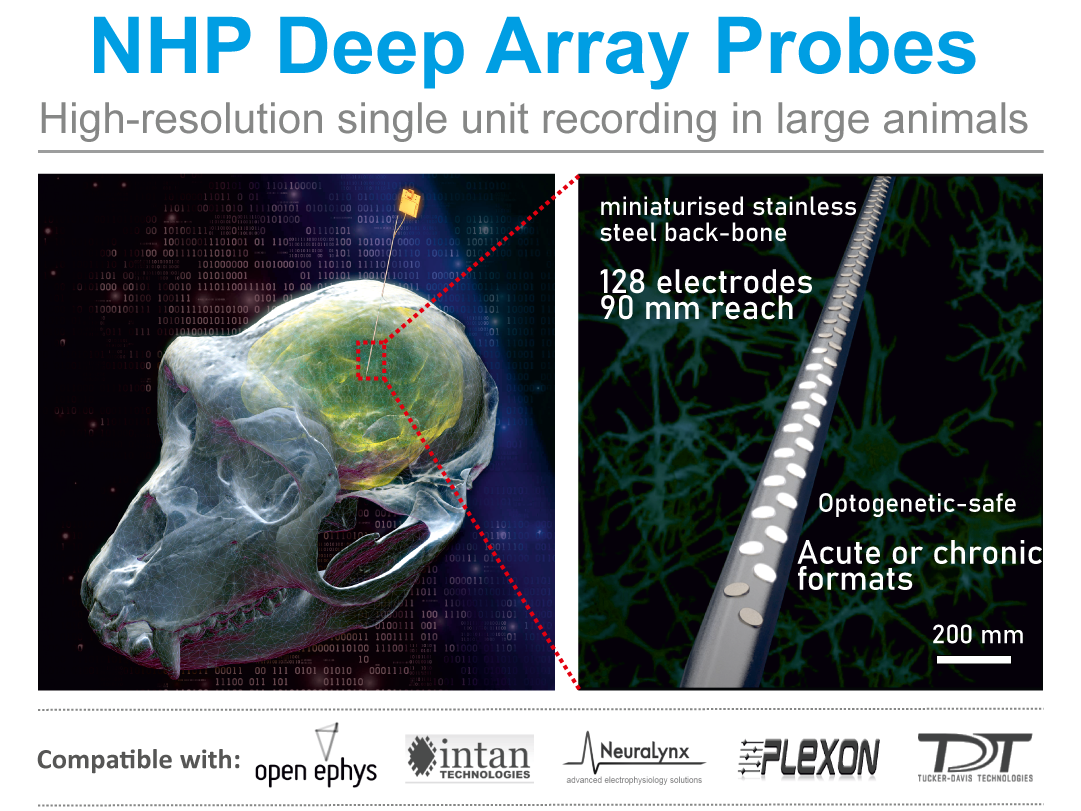 DA Graphic for Landing Page